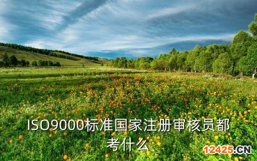ISO9000標準國家注冊審核員都考什么