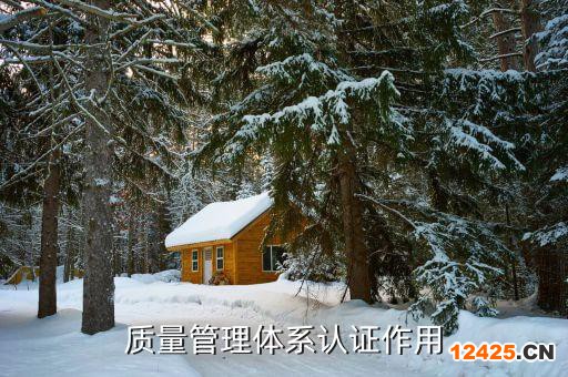質量管理體系認證作用