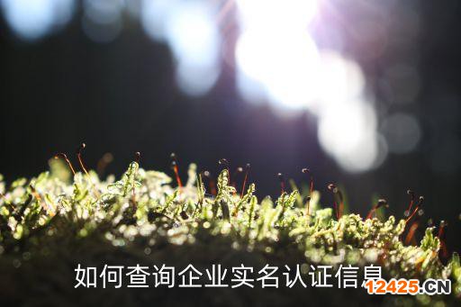 如何查詢企業實名認證信息