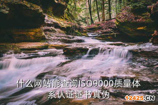 什么網站能查詢ISO9000質量體系認證證書真偽
