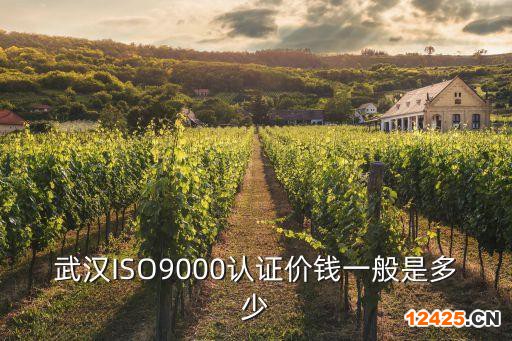 武漢ISO9000認證價錢一般是多少