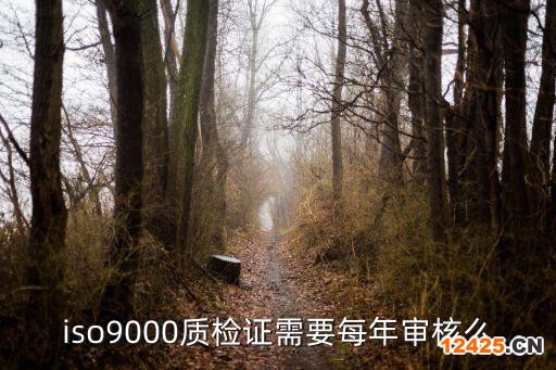 iso9000質(zhì)檢證需要每年審核么