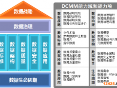 DCMM數(shù)據(jù)管理能力成熟度評(píng)估