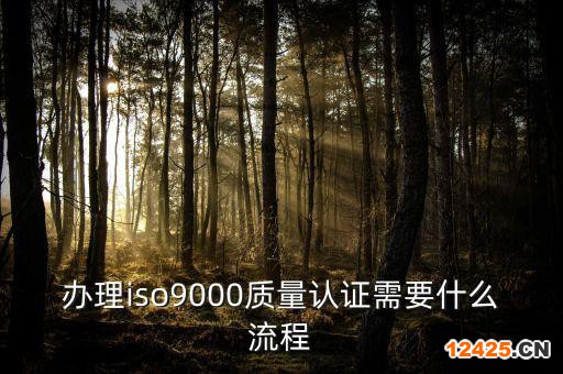 辦理iso9000質量認證需要什么流程