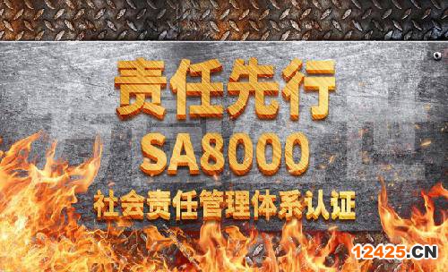 SA8000的流程.png