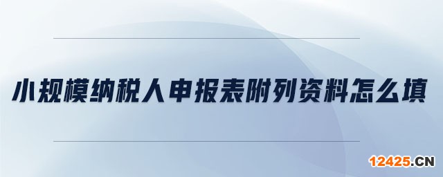小規模納稅人申報表附列資料怎么填