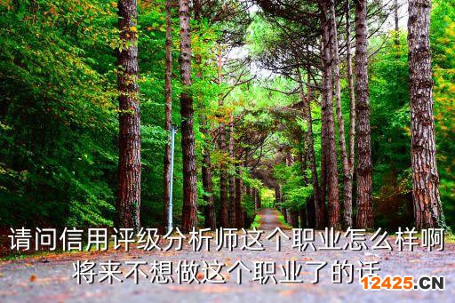 請問信用評級分析師這個職業怎么樣啊將來不想做這個職業了的話