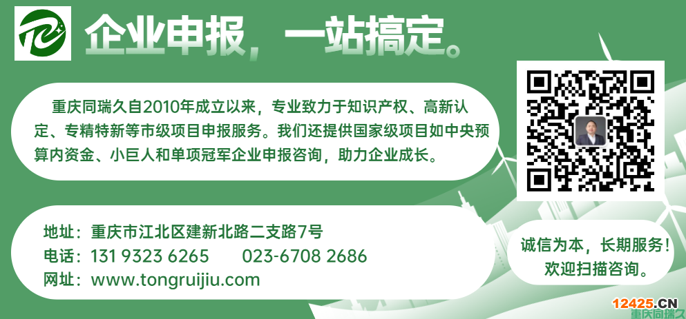 重慶助您順利通過北碚區(qū)2025年高新技術(shù)企業(yè)復(fù)審引導(dǎo)計(jì)劃項(xiàng)目(圖2)