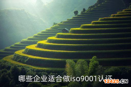 哪些企業(yè)適合做iso9001認證