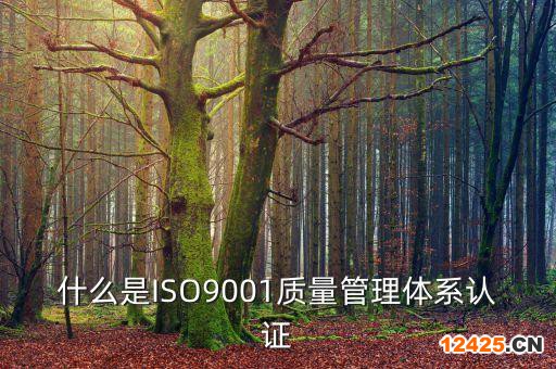 什么是ISO9001質(zhì)量管理體系認(rèn)證