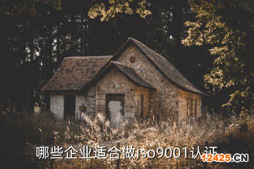 哪些企業適合做iso9001認證
