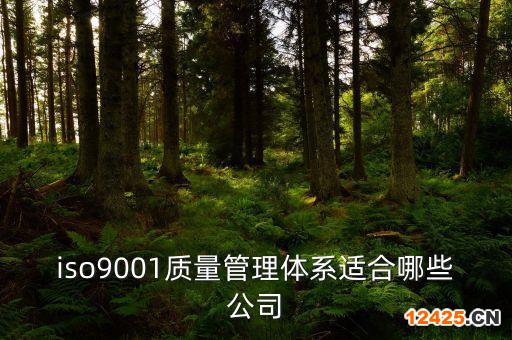iso9001質量管理體系適合哪些公司