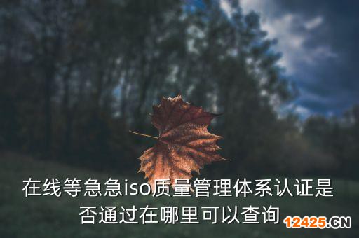 在線等急急iso質量管理體系認證是否通過在哪里可以查詢